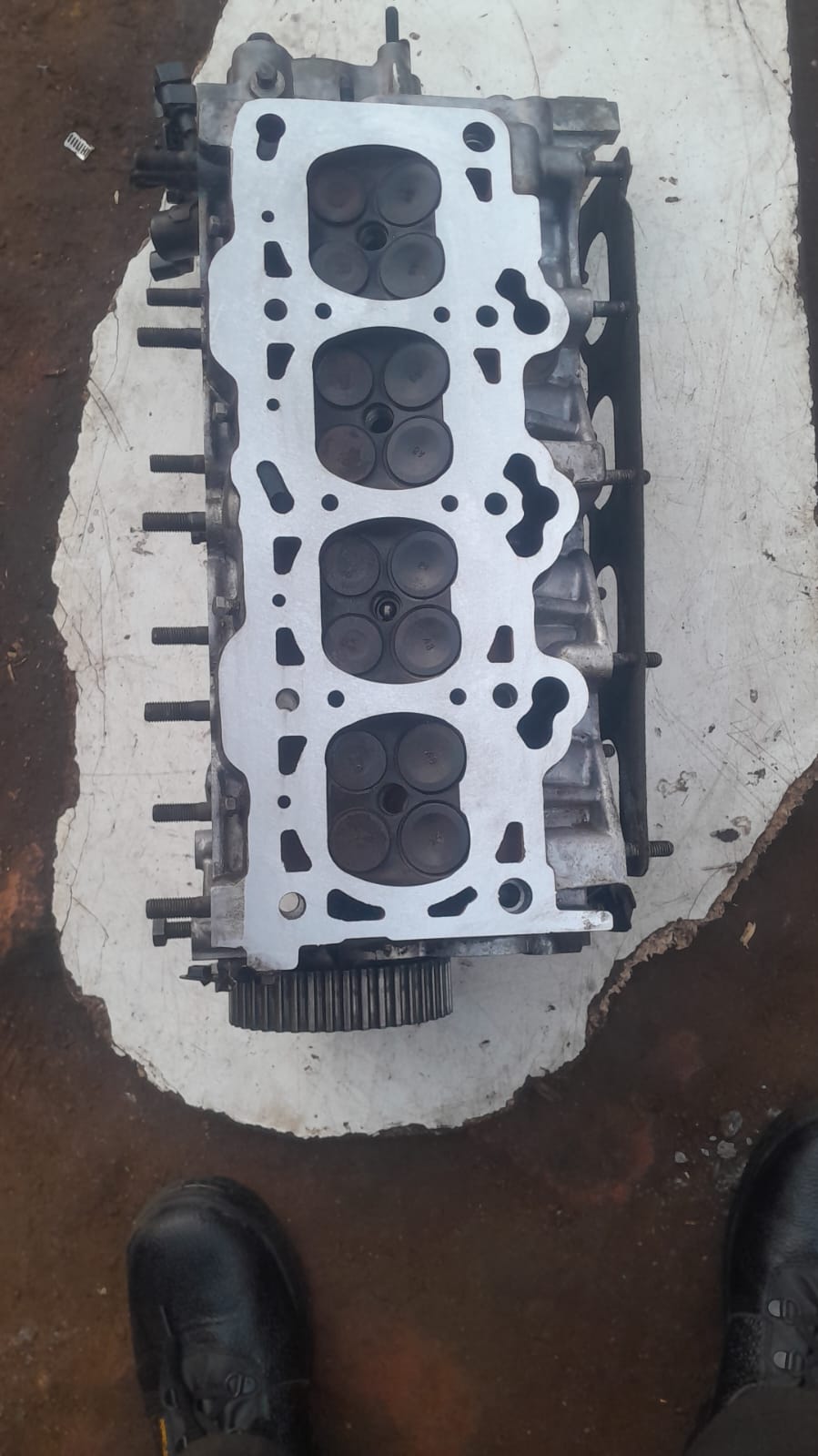 Mollo And Son Workshop