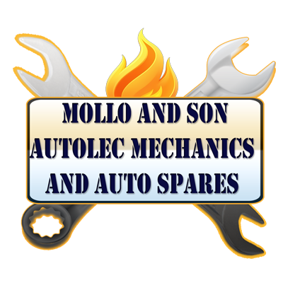 MolloandSon